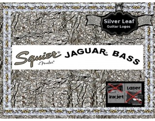Squier Jaguar Bass Guitar Decal 16s